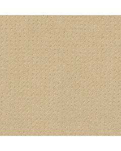 Shaw MY INSPIRATION PATTERN French Linen Carpet - SH-EA562-00103