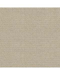 Shaw MY INSPIRATION PATTERN Textured Canvas Carpet - SH-EA562-00150