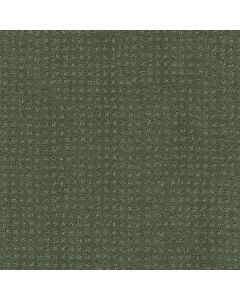 Shaw MY INSPIRATION PATTERN Bay Laurel Carpet - SH-EA562-00351