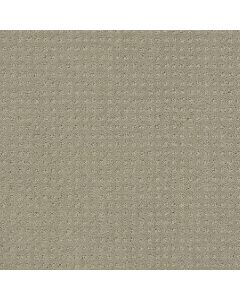 Shaw MY INSPIRATION PATTERN Ash Carpet - SH-EA562-00550