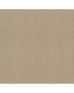 Shaw ARTIST VIEW LOOP French Linen Carpet - SH-EA566-00103