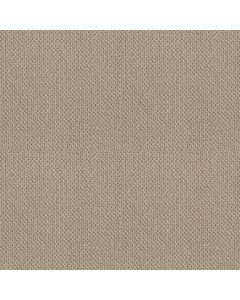 Shaw ARTIST VIEW LOOP Bare Essence Carpet - SH-EA566-00151