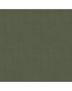 Shaw ARTIST VIEW LOOP Bay Laurel Carpet - SH-EA566-00351