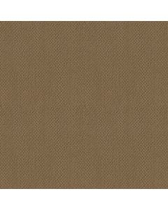 Shaw ARTIST VIEW LOOP Honey Pot Carpet - SH-EA566-00722