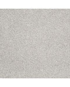 Shaw GOLD TEXTURE TONAL Sequoia Park Carpet - SH-EA578-00191