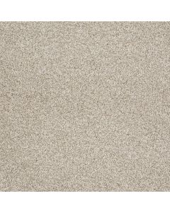 Shaw GOLD TEXTURE TONAL Anchorage Carpet - SH-EA578-00192