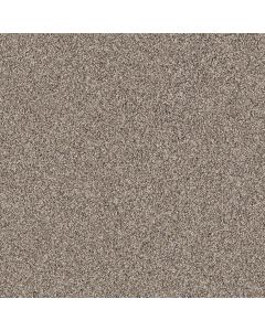Shaw GOLD TEXTURE TONAL Park Avenue Carpet - SH-EA578-00194