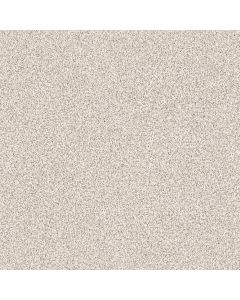 Shaw GOLD TEXTURE TONAL Casa Blanca Carpet - SH-EA578-00197
