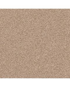Shaw GOLD TEXTURE TONAL Hidden Treasure Carpet - SH-EA578-00791