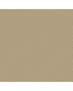 Shaw DAKOTA SPRINGS Muslin Carpet - SH-EA604-00102