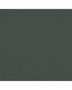 Shaw DAKOTA SPRINGS Mediterranean Carpet - SH-EA604-00351