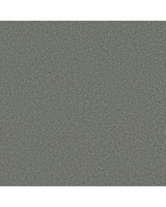 Shaw DAKOTA SPRINGS Sterling Carpet - SH-EA604-00500