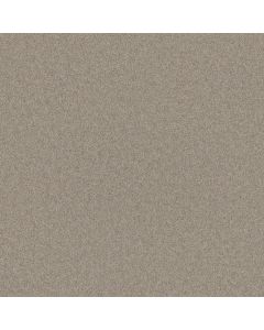 Shaw LOOK FORWARD Mocha Cream Carpet - SH-EA605-00105