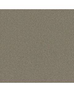 Shaw LOOK FORWARD Radiance Carpet - SH-EA605-00500