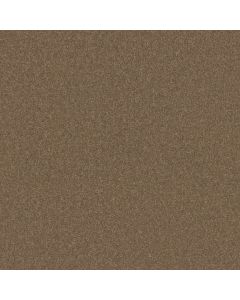 Shaw LOOK FORWARD Acorn Carpet - SH-EA605-00700