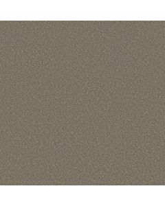 Shaw LOOK FORWARD Ashen Carpet - SH-EA605-00704