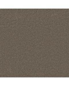 Shaw LOOK FORWARD Rustic Taupe Carpet - SH-EA605-00706