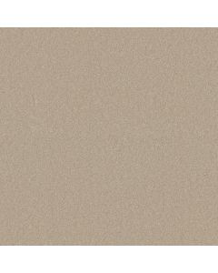 Shaw SWEET LIFE Sandy Shore Carpet - SH-EA606-00101