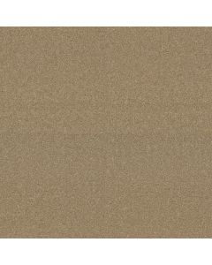 Shaw SWEET LIFE Oakwood Carpet - SH-EA606-00200