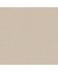 Shaw MAJORITY RULES Royal Silk Carpet - SH-EA607-00100