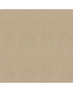 Shaw MAJORITY RULES Sandy Shore Carpet - SH-EA607-00101