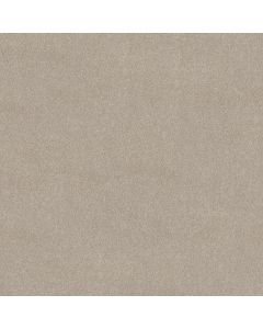 Shaw MAJORITY RULES Soft Chamois Carpet - SH-EA607-00103