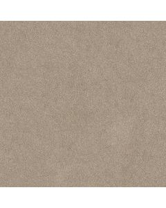 Shaw MAJORITY RULES Doeskin Carpet - SH-EA607-00112