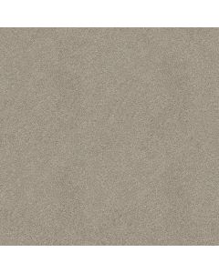 Shaw MAJORITY RULES Antique Silk Carpet - SH-EA607-00115