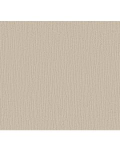 Shaw CHAMBERS BAY Canvas Carpet - SH-EA608-00103