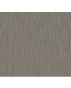 Shaw CHAMBERS BAY Titanium Carpet - SH-EA608-00544