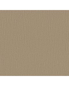 Shaw CHAMBERS BAY Mushroom Carpet - SH-EA608-00703