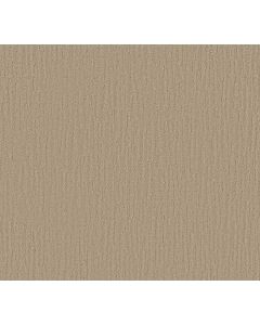 Shaw CHAMBERS BAY Agate Carpet - SH-EA608-00713