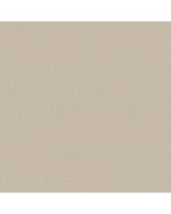 Shaw JEALOUSY Fresh Perspective Carpet - SH-EA615-00117