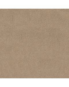 Shaw SOURCE II Dunes Carpet - SH-EA682-00102