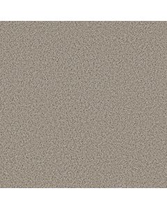 Shaw STRANDS OF NATURE I Gentle Rain Carpet - SH-EA768-00171