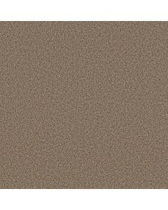 Shaw STRANDS OF NATURE I Arrowhead Carpet - SH-EA768-00770