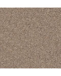 Shaw STRANDS OF NATURE I Cobble Drive Carpet - SH-EA768-00771