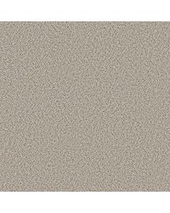 Shaw STRANDS OF NATURE II Swiss Coffee Carpet - SH-EA769-00173
