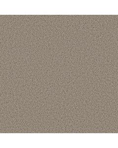 Shaw STRANDS OF NATURE II Acreage Carpet - SH-EA769-00176