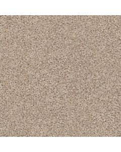 Shaw STRANDS OF NATURE III Acreage Carpet - SH-EA770-00176