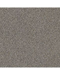 Shaw STRANDS OF NATURE III Antique Pin Carpet - SH-EA770-00571