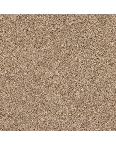 Shaw STRANDS OF NATURE III Arrowhead Carpet - SH-EA770-00770