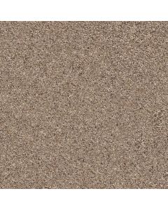 Shaw STRANDS OF NATURE III Cobble Drive Carpet - SH-EA770-00771
