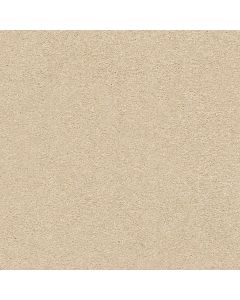 Shaw Find your comfort II - Solid Sun Kissed S Carpet - SH-EA815-110S