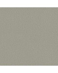 Shaw Find your comfort II - Solid Willow Tree S Carpet - SH-EA815-330S