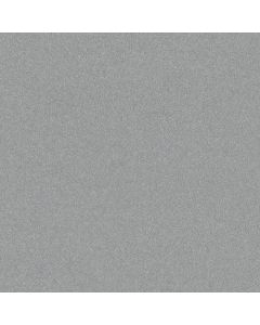 Shaw Find your comfort II - Solid Polished Silver Carpet - SH-EA815-538S