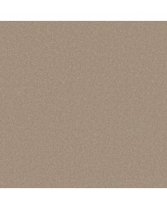 Shaw Find your comfort II - Solid Walk On The Bea Carpet - SH-EA815-721S