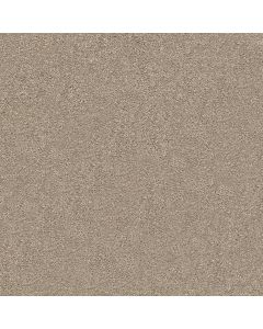 Shaw Find your comfort II - Solid Dockside View Carpet - SH-EA815-722S
