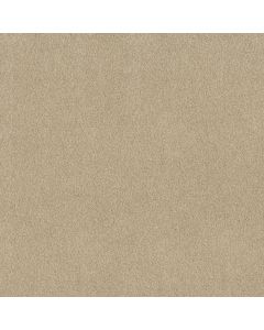 Shaw Find your comfort I - Tonal Sun Kissed T Carpet - SH-EA817-110T