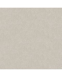 Shaw Find your comfort I - Tonal Warm Blanket T Carpet - SH-EA817-114T